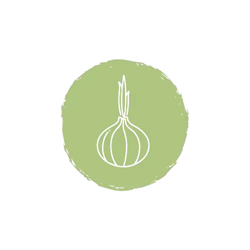 Dehydrated Onion